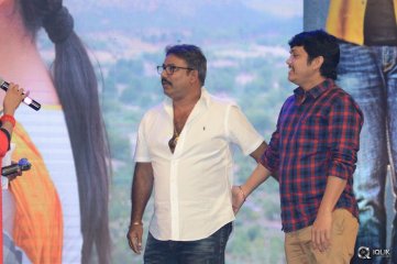 Krishna Gadi Veera Prema Gaadha Movie Audio Launch